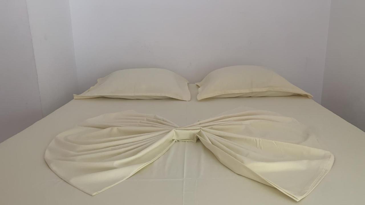 A&X Cozy And Tranquil Apartment - 24H Self Check-In Тирана Экстерьер фото